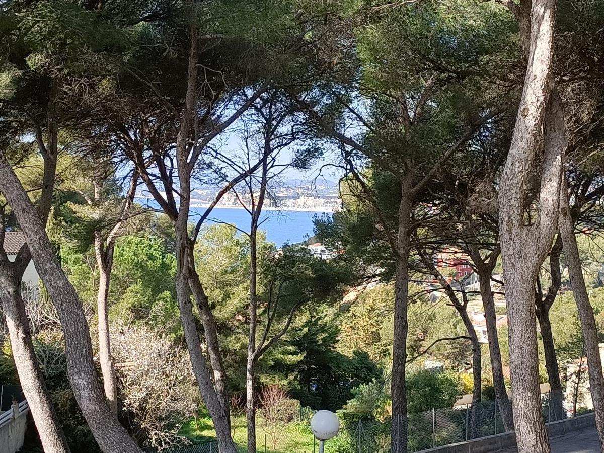 Appartement T2 Sanary Sur Mer Extérieur photo